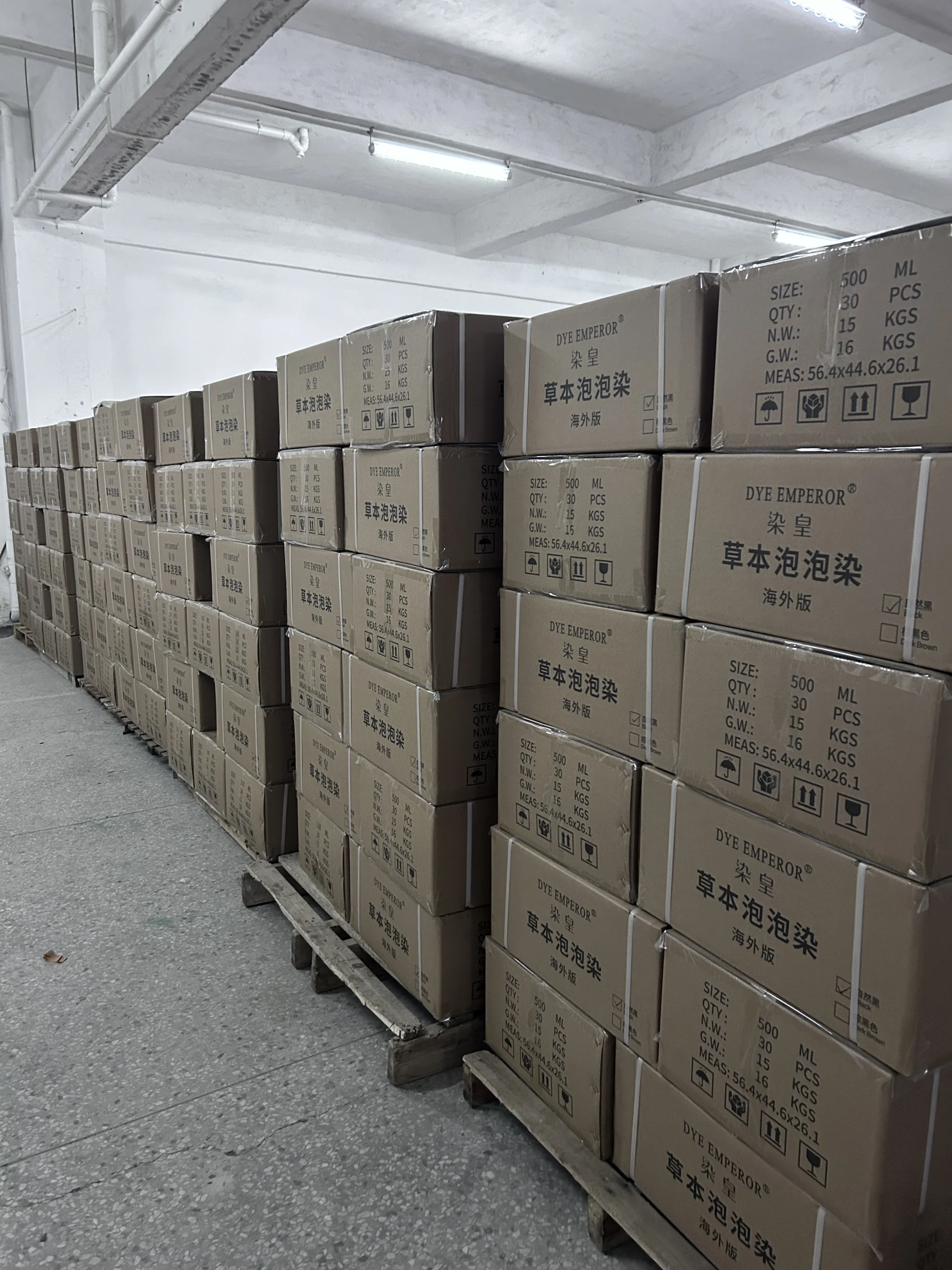 Testimonial image 1 for Anya Sharma