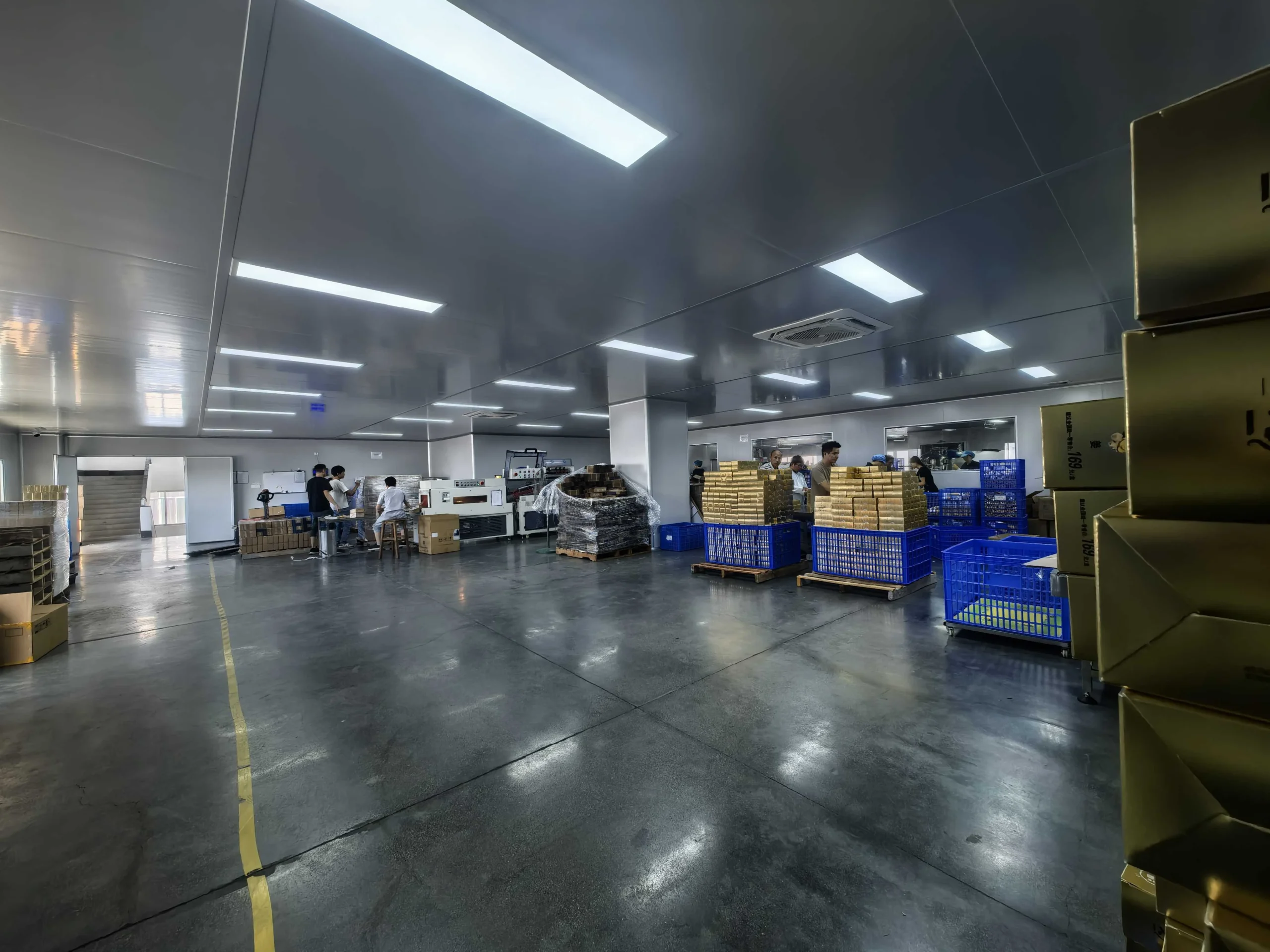 Testimonial image 1 for Lukas Weber